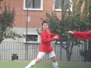 sacca